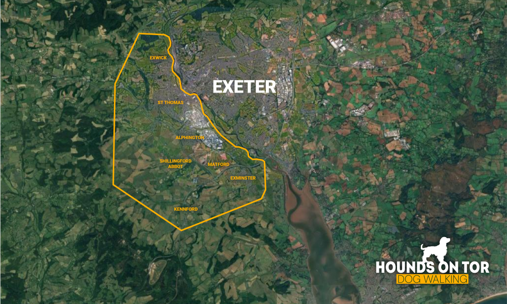Area map for dog walking in Exeter.